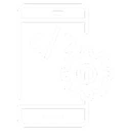 Mobile App Penetration Testing