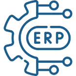 Custom ERP