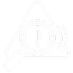 IT Security Auditing
