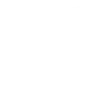 Primary Icon
